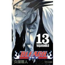 bleach #13