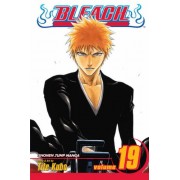 bleach #19