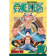 one piece #30